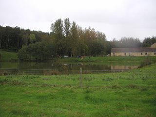 Dillington Pond