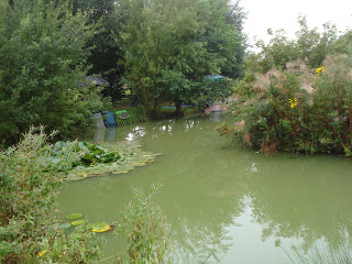 Chriss Pond 31st August 2008