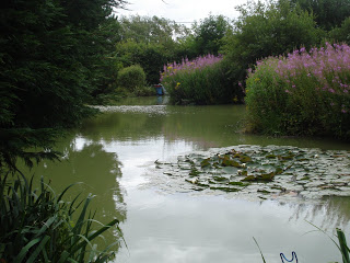 Pond July 19th 09