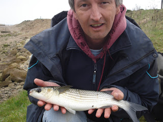 Mullet2-Seaton-31st-March-2012