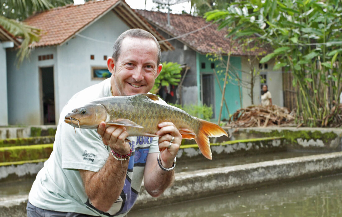 Inspecting Hatchery Mahseer In Java