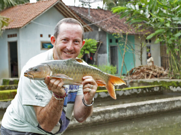 Inspecting Hatchery Mahseer In Java