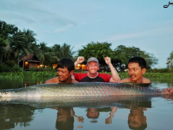 Arapaima Jamie 5 28.8.23