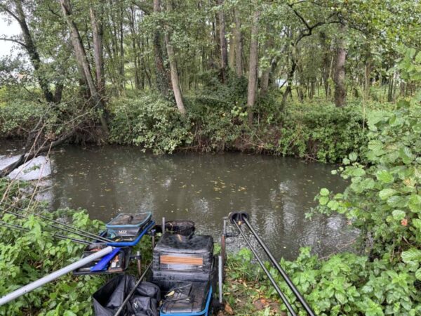 Bcb369c5 Ca25 4803 9c1a D66df99d2819