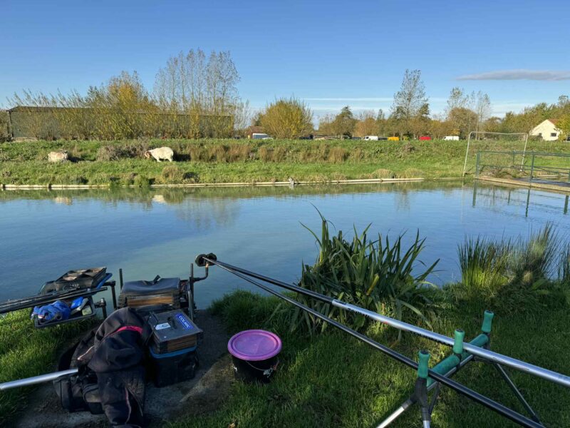 C4dcd36b 3b99 4f7f B4bd 46a10344518b