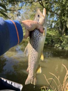 A043126b Cf3a 4266 A0cf 361caf0974c7