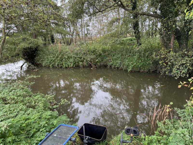 Dbb0d086 5b5c 4fda A655 51257f080c3b