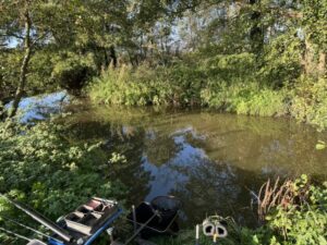 E595eb4a F3f7 4d08 9d01 48b993d8840b