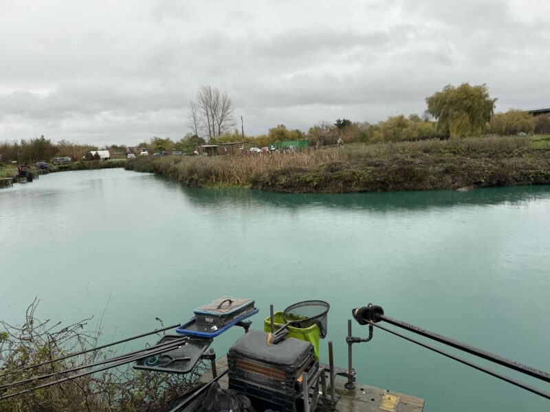 748c255e 005e 4c31 Ac5a 72326ea63ff4