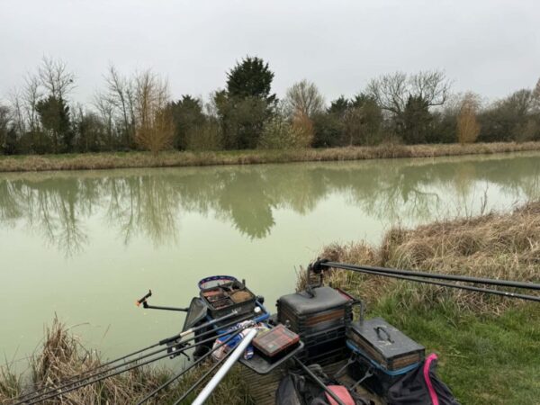 18b8d96f Cde0 4535 92e1 0289c9831985